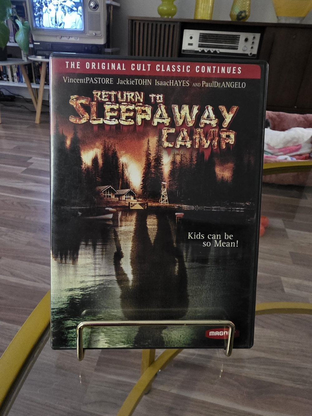 Return to Sleepaway Camp DVD